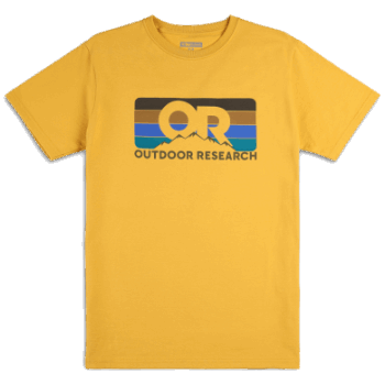 Alerce De La Camiseta De La Raya De La Investigación O Del Abogado Al Aire Libre